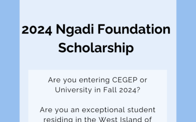2024 Emeka Ngadi Foundation Scholarship – Open for Applications